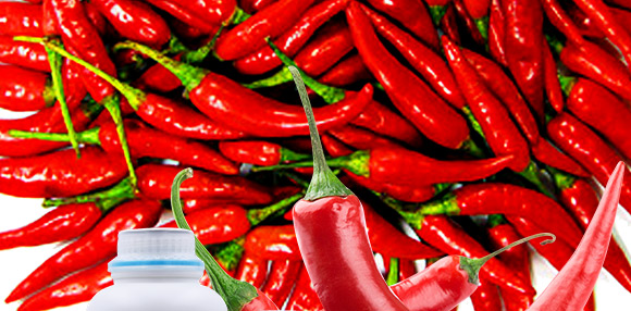 婕渤甯?jìng)鍌呯墝鍐滀笟绉戞妧鏈夐檺鍏徃2_01.jpg 婕渤甯?jìng)鍌呯墝鍐滀笟绉戞妧鏈夐檺鍏徃2_01.jpg