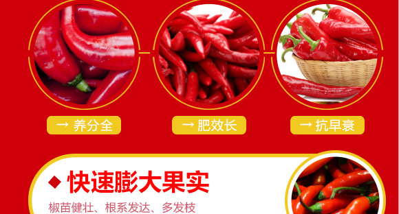 婕渤甯?jìng)鍌呯墝鍐滀笟绉戞妧鏈夐檺鍏徃2_05.jpg 婕渤甯?jìng)鍌呯墝鍐滀笟绉戞妧鏈夐檺鍏徃2_05.jpg