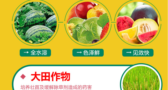 婕渤甯?jìng)鍌呯墝鍐滀笟绉戞妧鏈夐檺鍏徃3_05.jpg 婕渤甯?jìng)鍌呯墝鍐滀笟绉戞妧鏈夐檺鍏徃3_05.jpg