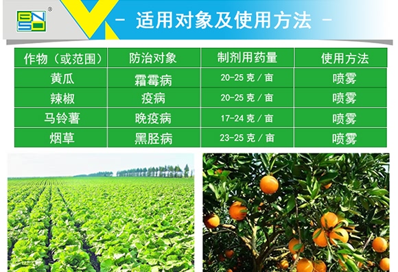 ϩ������-˼�_(d��)˪��-���r(n��ng)˼�_(d��)