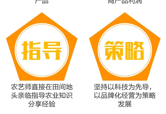 高硼高鉬型花生粒多飽-花多收-三禾肥業(yè) 高硼高鉬型花生粒多飽-花多收-三禾肥業(yè)