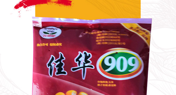 佳華909-玉米種子-天成種業(yè) 佳華909-玉米種子-天成種業(yè)