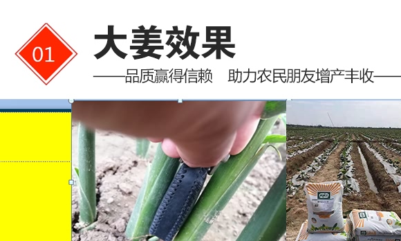 ������(f��)�Ϸ�16-8-21-���ǻ��r(n��ng)