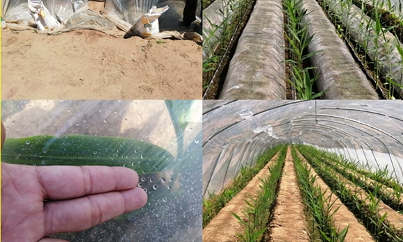 ������(f��)�Ϸ�16-8-21-���ǻ��r(n��ng)