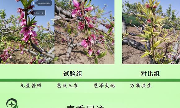 ΢��������������-���ǻ��r(n��ng)