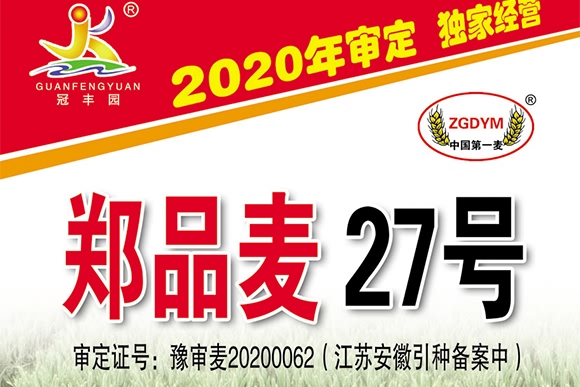 鄭品麥27號-小麥種子-邦邦種業(yè) 鄭品麥27號-小麥種子-邦邦種業(yè)