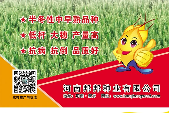 鄭品麥27號-小麥種子-邦邦種業(yè) 鄭品麥27號-小麥種子-邦邦種業(yè)