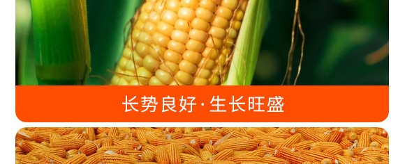 摻混肥料28-10-12（藍(lán)色）-沃豐