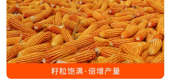 摻混肥料28-10-12（藍(lán)色）-沃豐