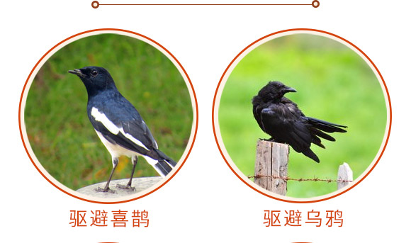 驅(qū)鳥香精包-鳥克-艾豐生物 驅(qū)鳥香精包-鳥克-艾豐生物