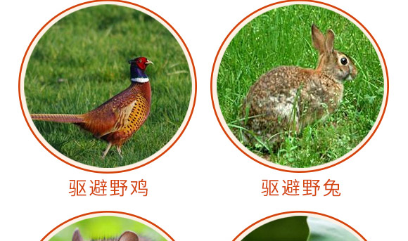 驅(qū)鳥香精包-鳥克-艾豐生物 驅(qū)鳥香精包-鳥克-艾豐生物