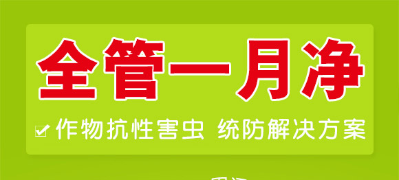 ȫ��һ��-�滯���h(yu��n)