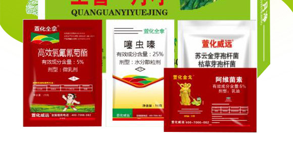 ȫ��һ��-�滯���h(yu��n)