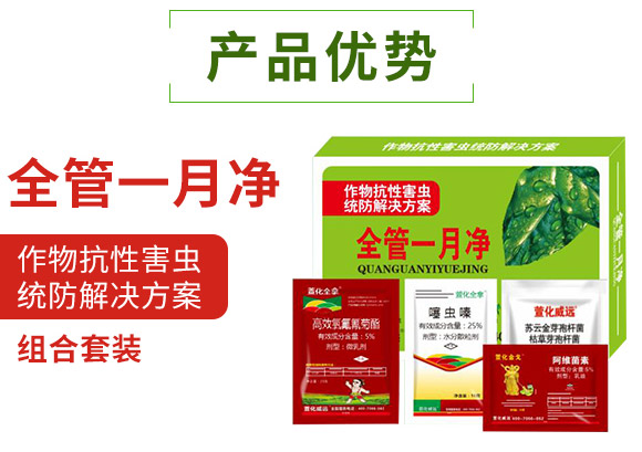 ȫ��һ��-�滯���h(yu��n)