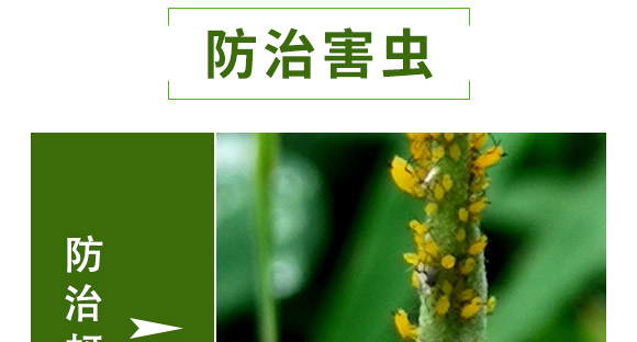 ȫ��һ��-�滯���h(yu��n)