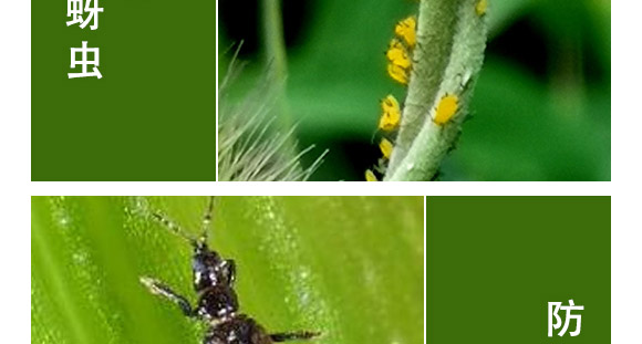 ȫ��һ��-�滯���h(yu��n)