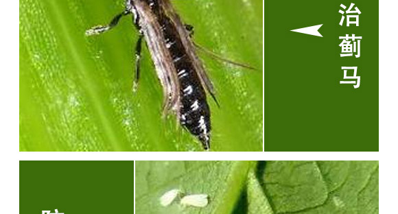 ȫ��һ��-�滯���h(yu��n)