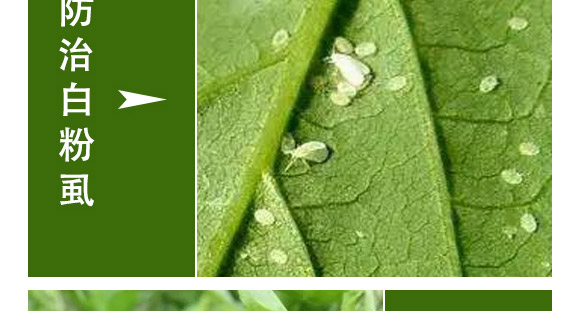 ȫ��һ��-�滯���h(yu��n)