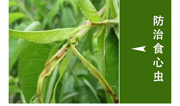 ȫ��һ��-�滯���h(yu��n)