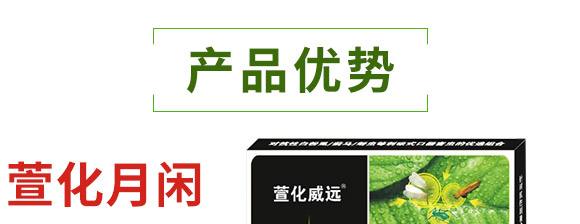 �滯���e-�滯���h(yu��n)