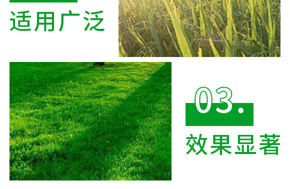 3%甲霜·噁霉靈水劑-護(hù)將-長(zhǎng)雙農(nóng)藥