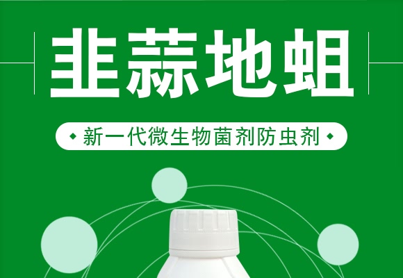 韭蒜地蛆-德瑞森 韭蒜地蛆-德瑞森