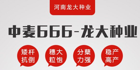 ����666-���N�F��-����N�I(y��)