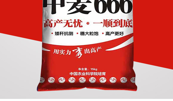 ����666-���N�F��-����N�I(y��)