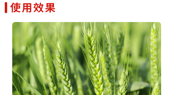 ����666-���N�F��-����N�I(y��)