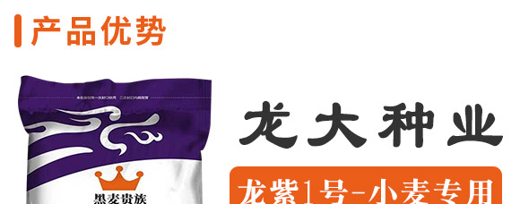 ����1̖-�����F��-����N�I(y��)