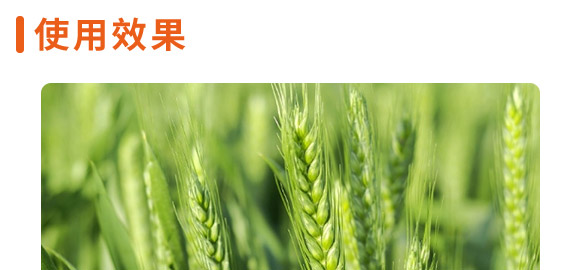 ����1̖-�����F��-����N�I(y��)