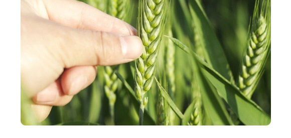 ����1̖-�����F��-����N�I(y��)