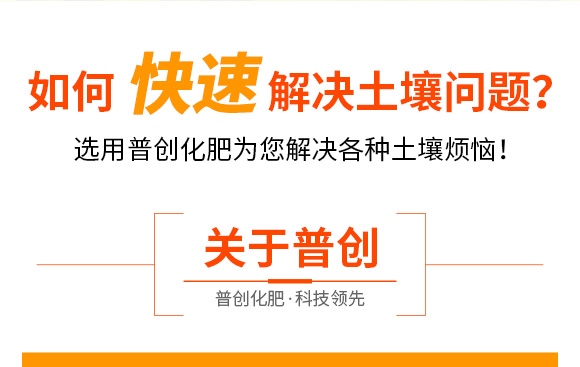 5�|΢�������-�Մ�(chu��ng)�Ƽ�