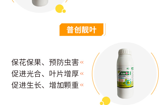 5�|΢�������-�Մ�(chu��ng)�Ƽ�