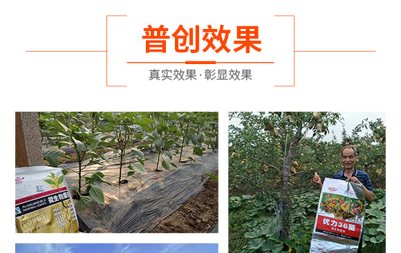 5�|΢�������-�Մ�(chu��ng)�Ƽ�