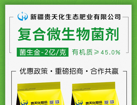 ��(f��)��΢�������-������2�|/�ˣ�-�F�컯