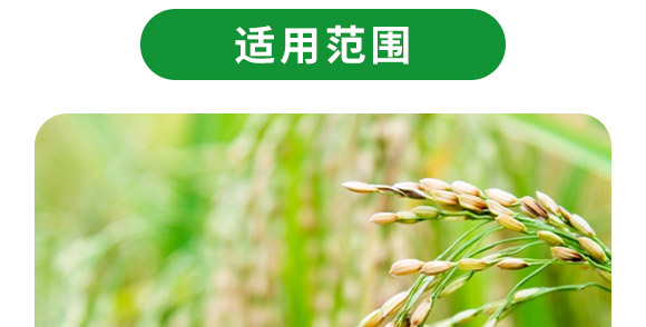 ��(f��)��΢�������-������2�|/�ˣ�-�F�컯