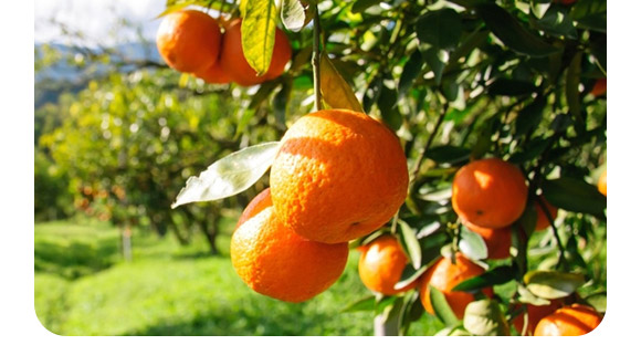 ��(f��)��΢�������-������2�|/�ˣ�-�F�컯