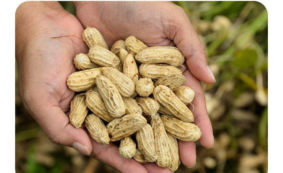 ��(f��)��΢�������-������2�|/�ˣ�-�F�컯