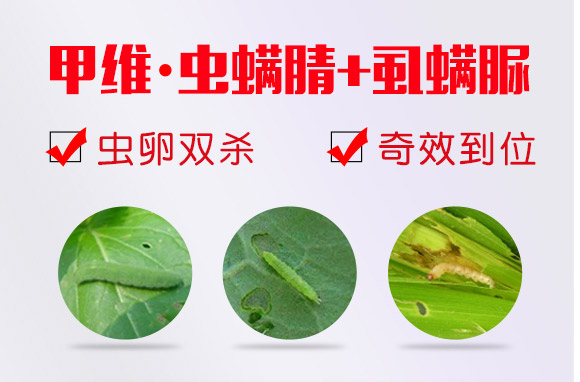 �׾S���x(ch��ng)����-ʭ����-�����r(n��ng)��