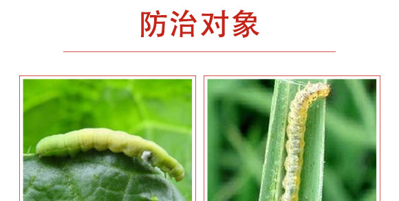 �׾S���x(ch��ng)����-ʭ����-�����r(n��ng)��