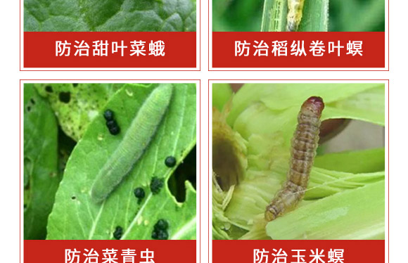 �׾S���x(ch��ng)����-ʭ����-�����r(n��ng)��