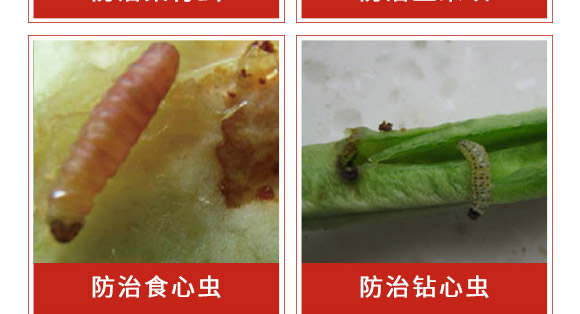 �׾S���x(ch��ng)����-ʭ����-�����r(n��ng)��