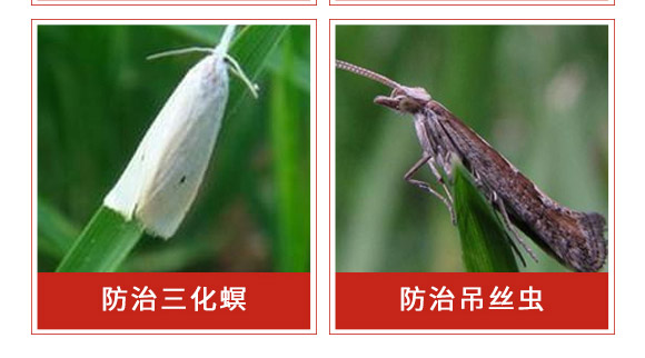 �׾S���x(ch��ng)����-ʭ����-�����r(n��ng)��