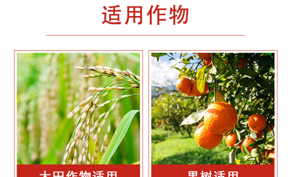 �׾S���x(ch��ng)����-ʭ����-�����r(n��ng)��