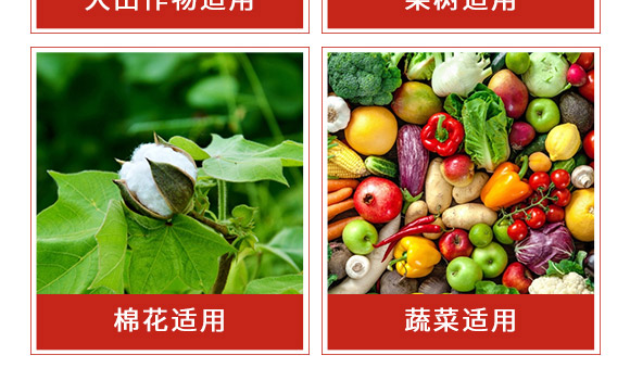 �׾S���x(ch��ng)����-ʭ����-�����r(n��ng)��