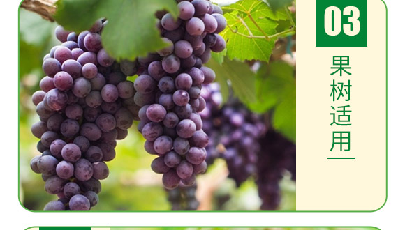 大量元素水溶肥13-7-+TE-德邦葉菲 大量元素水溶肥13-7-+TE-德邦葉菲