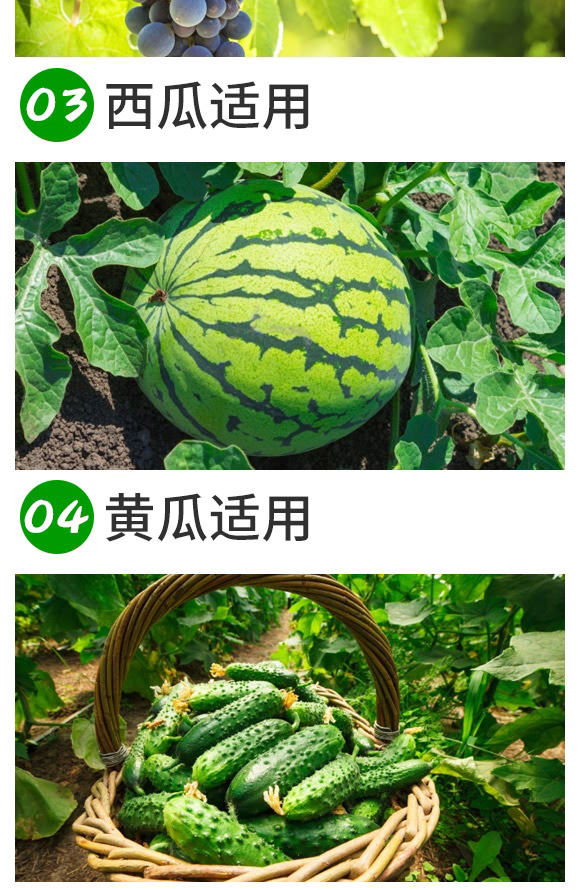 礦源黃腐酸鉀-浩達(dá)