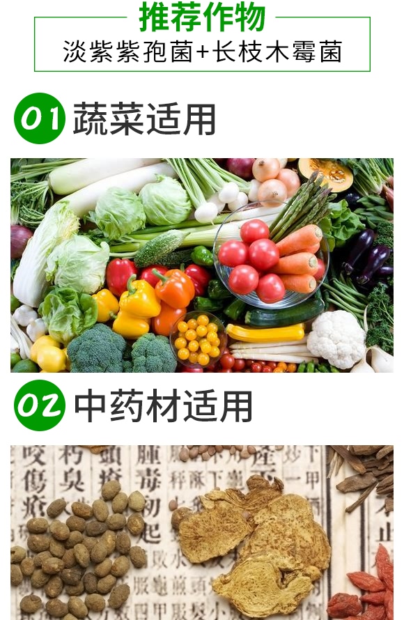 微生物菌劑-根無線-浩達(dá)