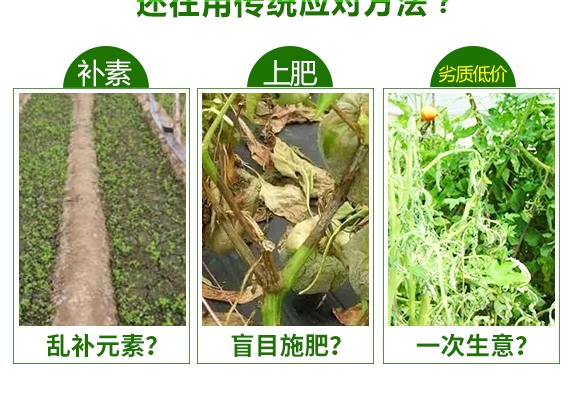 烏金碳肥(2kg)-五谷豐 烏金碳肥(2kg)-五谷豐